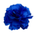 Файл:Синий цветок.png