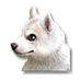 Файл:Щенок канадской эскимосской собаки.png