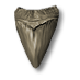 Зуб кобры