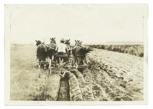 Farmers photo.png