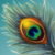 Peacock feather single.png